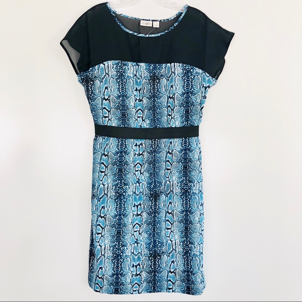 NWOT Cato Blue & Black Python Dress Size 6